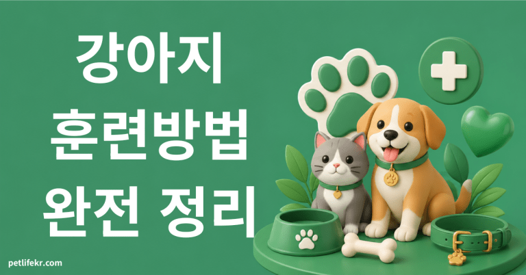 강아지 훈련