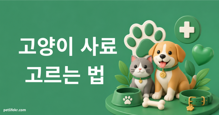 고양이 사료 선택법
