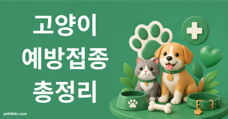 고양이 예방접종