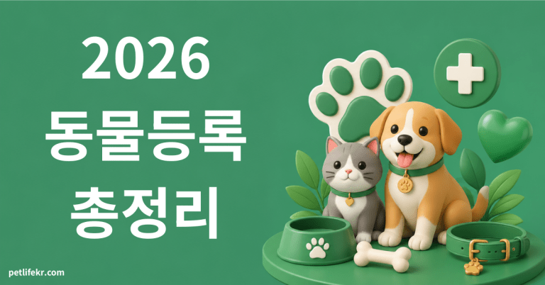 동물등록