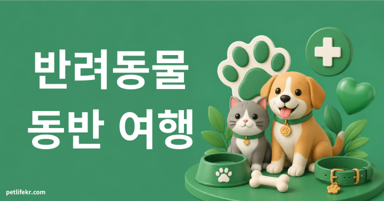 반려동물 동반 여행