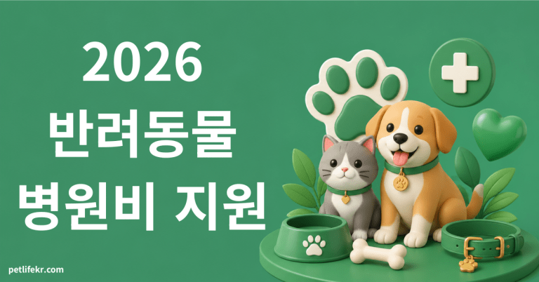 반려동물 병원비