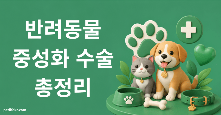 중성화 수술