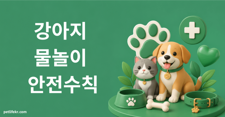 강아지 물놀이 안전수칙