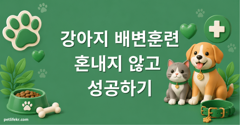 강아지 배변훈련