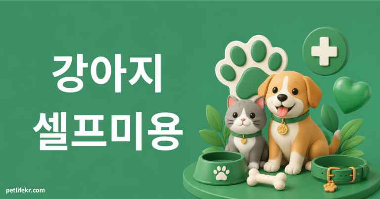 강아지 셀프미용