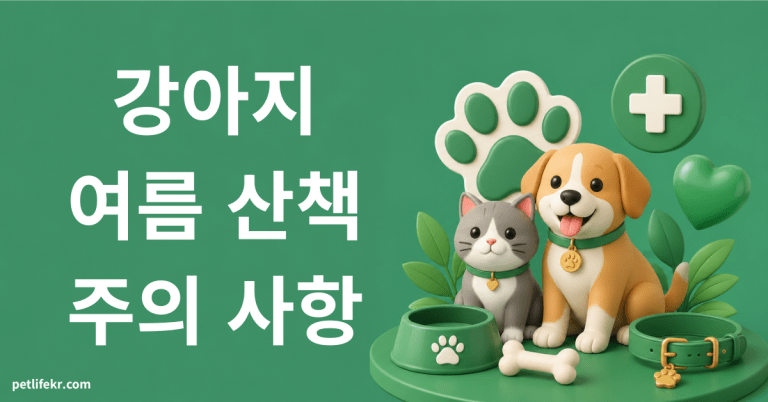 강아지 여름 산책