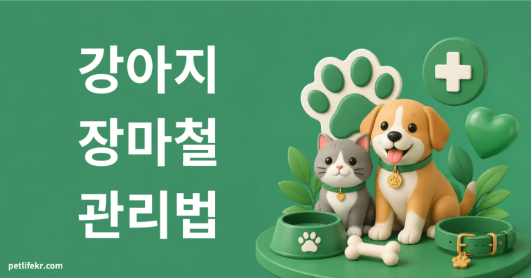 강아지 장마철 관리법