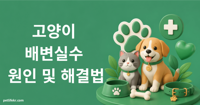 고양이 배변실수