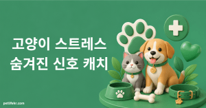 고양이 스트레스