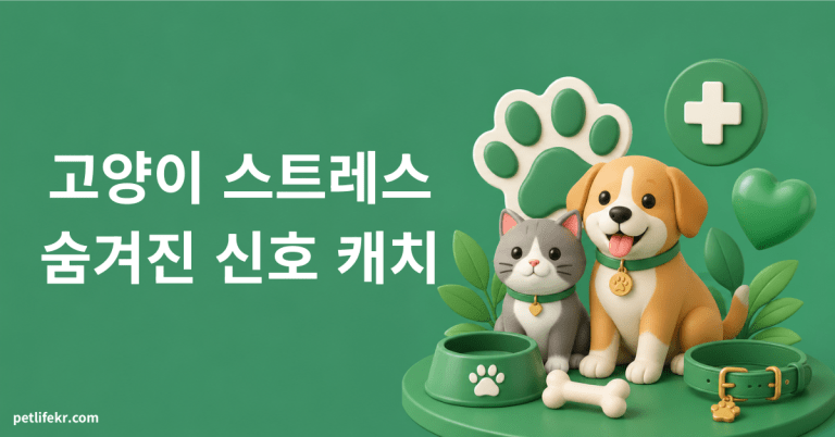 고양이 스트레스