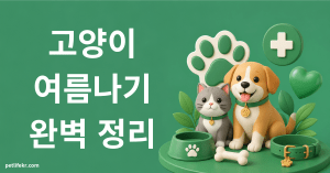 고양이 여름나기