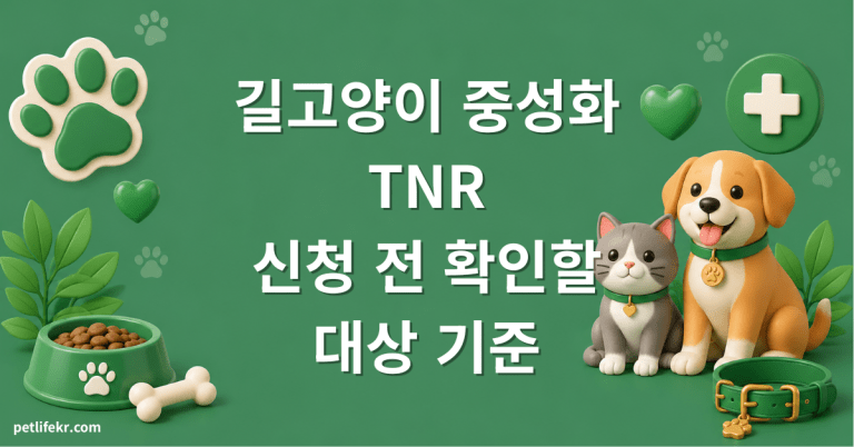 길고양이 중성화