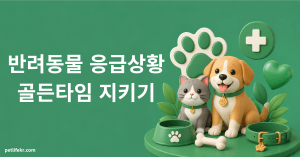 반려동물 응급 상황 대처법 — 하지 말아야 할 것부터 (2026) 17 반려동물 응급