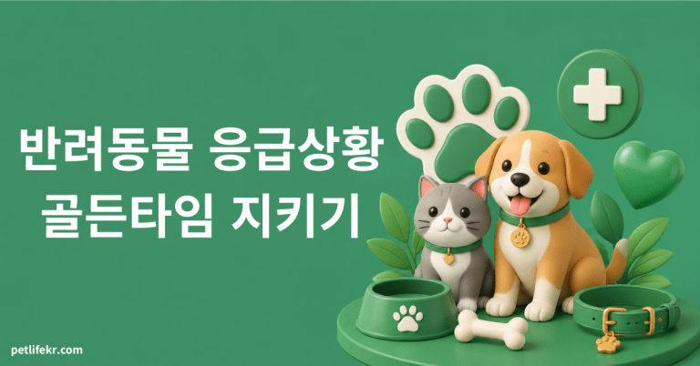 반려동물 응급