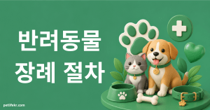 반려동물 장례 절차·비용·사망신고 총정리 (2026) 4 반려동물 장례