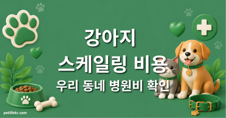 강아지 스케일링 비용