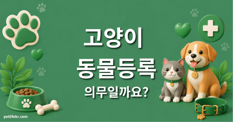 고양이 동물등록 의무 아직 아닙니다 — 강아지와 다른 3가지 8 고양이 동물등록 의무