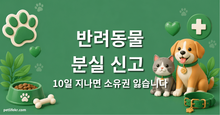 반려동물 분실 신고