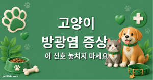 고양이 방광염